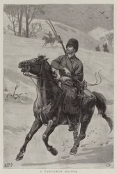 Een Turcoman-rover